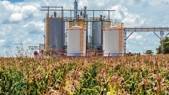 Más apoyos a la Ley de Biocombustibles: Ahora se sumó el Consejo Económico y Social