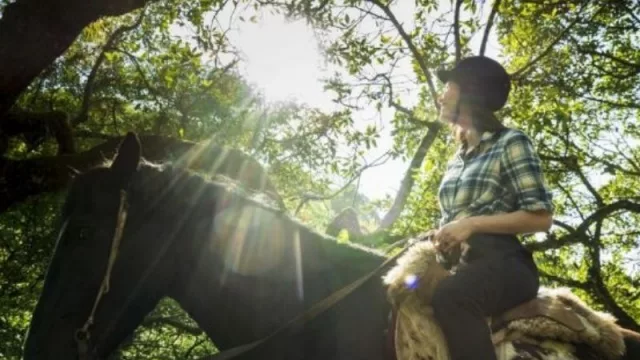 Mejor de lo esperado: En Salta el turismo dejó $1.000 millones durante enero 