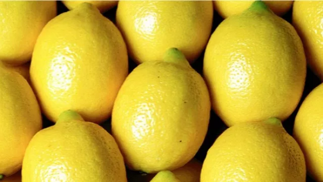 La exportación de limones a la UE podría volver en marzo ¿de qué depende?