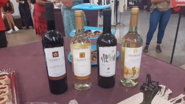 Bodega Trassoles a tope: prepara 120 mil litros para exportar a Bolivia y Brasil