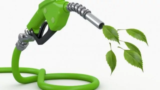 ¡Urgente! Piden que se prorrogue la ley de Biocombustibles y advierten sobre un potencial desastre ambiental