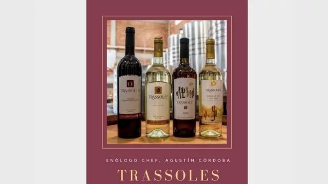 Cooperativa Trassoles se luce hoy en la Feria Punto Artesanal 