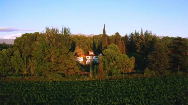Bodega Trivento compra la tradicional Baldini en Luján de Cuyo