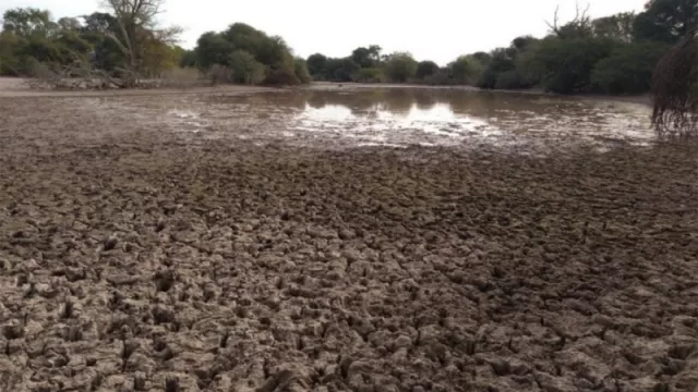 Nación decretó la emergencia agropecuaria para Rivadavia y San Martín