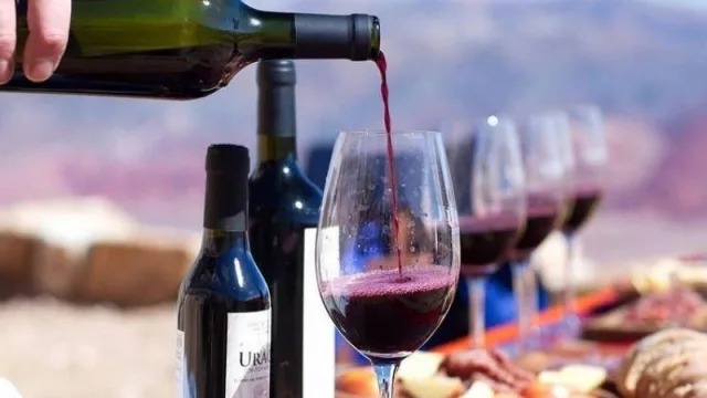 Brindemos con vino jujeño: la provincia presentó sus varietales 