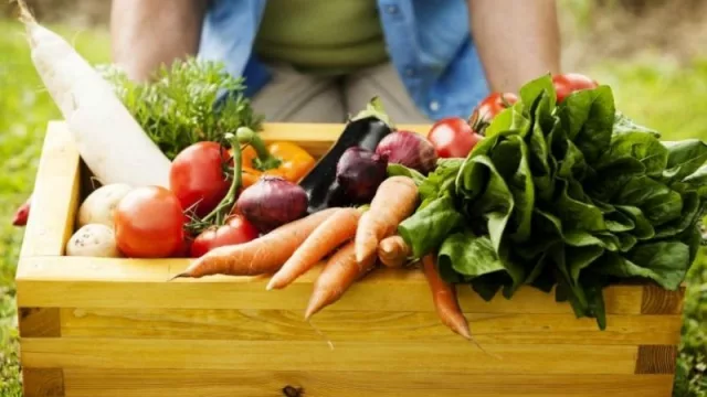 Tucumán promueve la producción sustentable en productores 