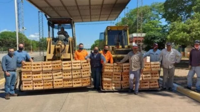 Duros controles para evitar el ingreso a Salta de cítricos sin documentación
