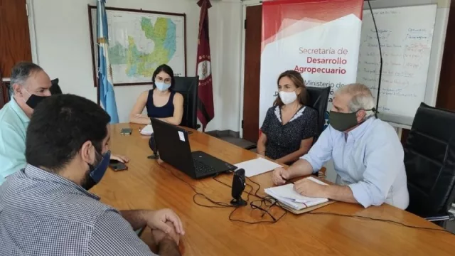 Hay mucha preocupación por la mortandad y la pérdida de peso de animales por la sequía