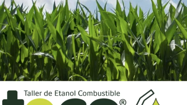 Fuerte presencia argentina: referentes mundiales de biocombustibles se reúnen en un taller virtual