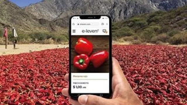 Llega el primer mercado virtual de productos y servicios agroalimentarios, sin intermediarios: vení a conocer E-LEVENᶜ