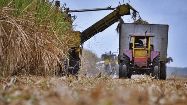 Zafra 2020: la mayoría de los ingenios ya hicieron sonar sus sirenas de fin de ciclo 