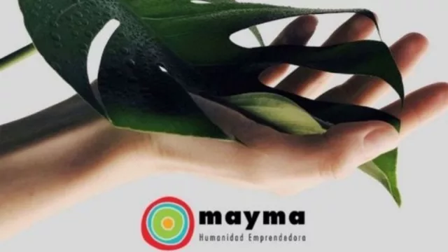 Tres proyectos con perspectiva sustentable son los ganadores del concurso para emprendedores Mayma Salta NOA