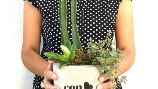 Verdetopía: cambiando el mundo, una planta a la vez