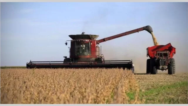 Bioceres tiene aprobación de su trigo 'antisequía' y arranca carrera para vender al mundo