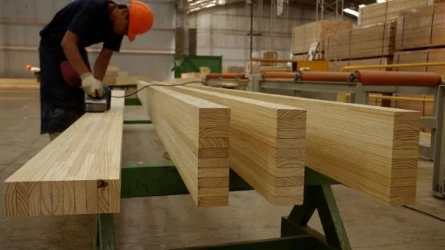 Dos buenas noticias para el sector foresto industrial: recibirán créditos y aportes no reintegrables