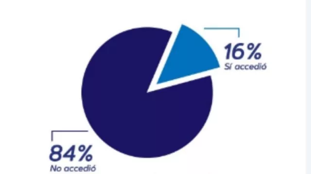Mujeres PYMES: solo el 16 % accedió a créditos del Gobierno nacional  