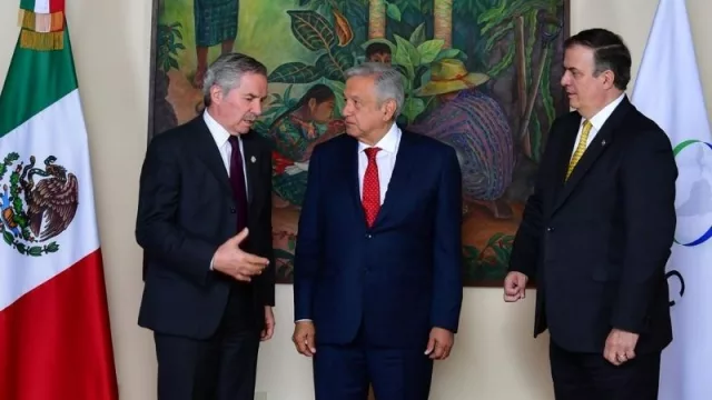 Atención productores: nueva oportunidad para exportar porotos a México sin aranceles