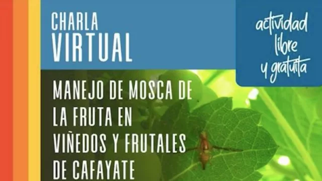 Viñedos: capacitación para productores de Cafayate