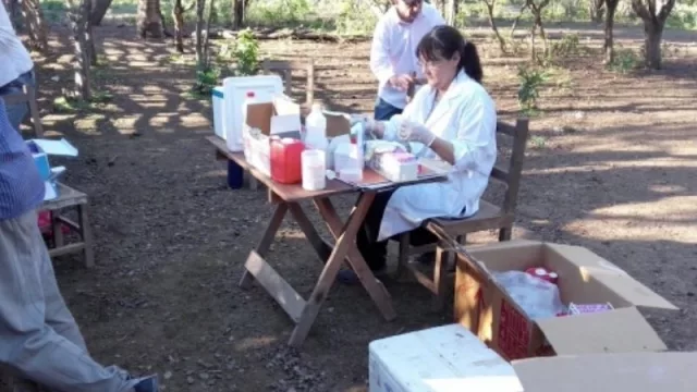 Fundación Bayer ayudará a UCASAL a mejorar la producción de cabras en el Chaco Salteño