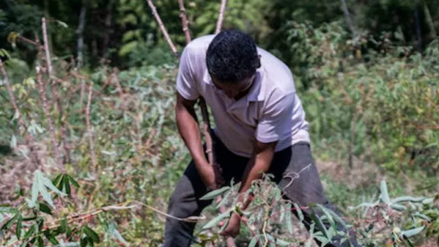 Ellos también quieren (y pueden): comunidades originarias proyectan desarrollar proyectos de producción agroindustrial