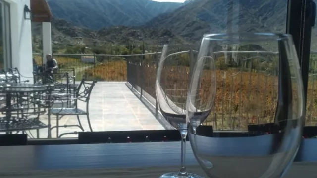 No los detiene ni la pandemia: seguirá el plan de posicionamiento de los Vinos de Altura de Salta