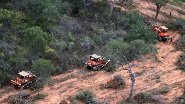 Paralizaron un desmonte ilegal en Orán, en una zona de alto valor de conservación
