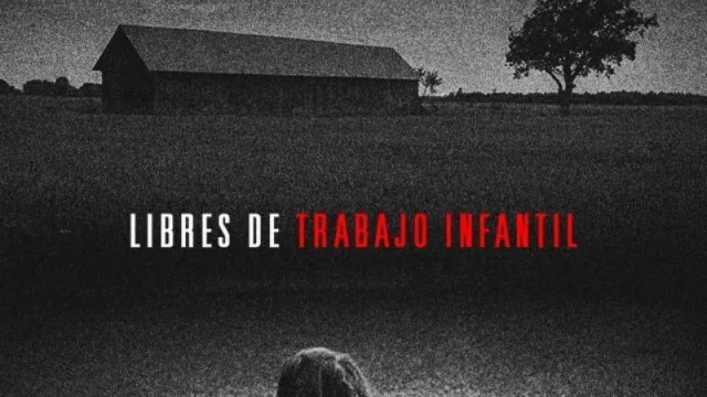 Flow se unió a Posibl. para impulsar contenidos de impacto social en Argentina, Uruguay y Paraguay