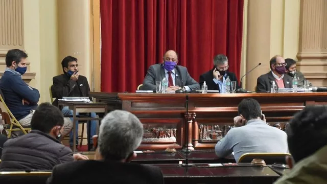 El ministro Dib Ashur expuso a Diputados las acciones desplegadas por la Provincia ante la pandemia