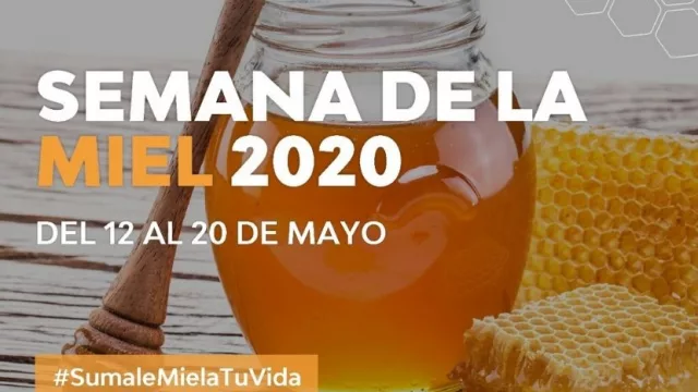 En forma virtual por la pandemia se celebra la Semana de la Miel, bajo el lema “Sumale miel a tu vida”