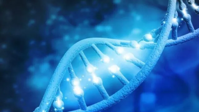 Con el boom de los diagnósticos virales, ni lentos ni perezosos (en Genia pasaron del 5% al 80% de lo que hacen)