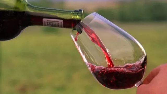 Aunque siga la cuarentena, hasta el lunes podés disfrutar de la Semana del Malbec de Altura