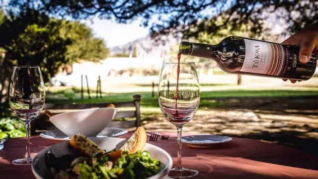 Este viernes y sábado vas a poder vivir la experiencia de la Vendimia en Tolombón