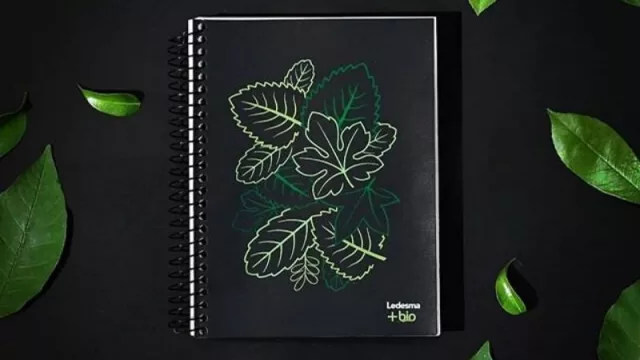 Jujuy pionera: Ledesma lanza al mercado el primer cuaderno sustentable del mundo