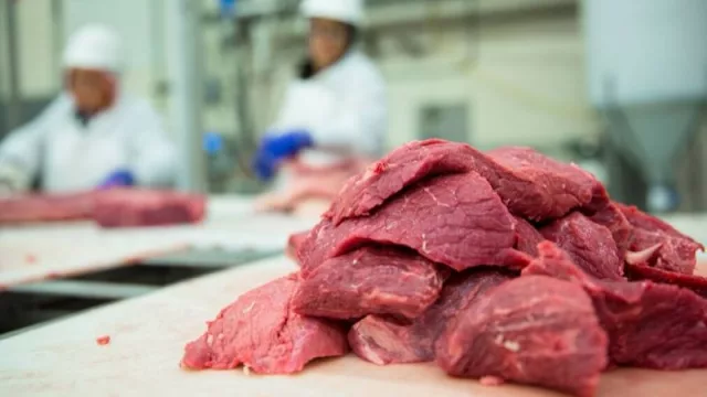 Exportación cárnica en Paraguay logra incremento récord en enero (ingresaron US$ 96.9 M)