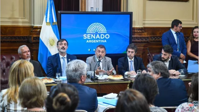 El Senado busca convertir hoy en ley la reestructuración de la deuda