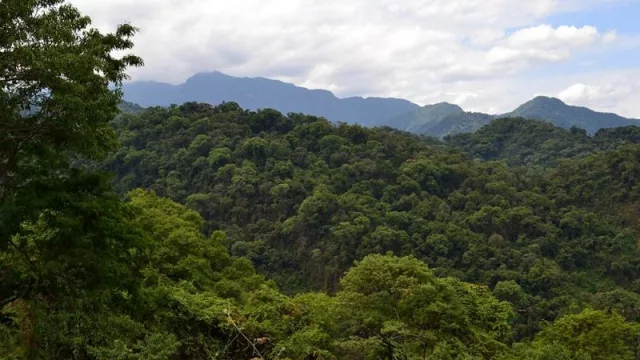 ¿Tenés un campo que no está en producción? Podés beneficiarte de los fondos de la Ley de Bosques