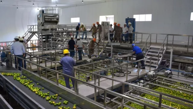 Exprimiendo industrias: Ledesma sigue creciendo en el negocio de frutas y jugos 