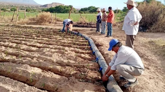 Implementan con pequeños productores de Cachi el sistema de riego por manga
