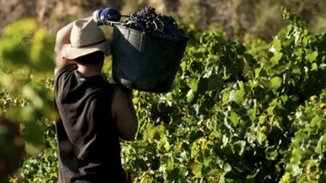 Mañana se inicia el pago a beneficiarios del programa Intercosecha