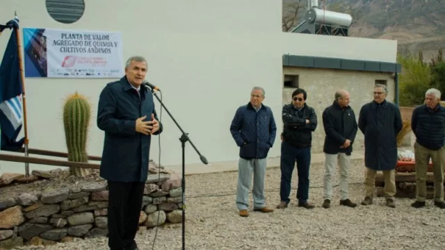 Producción de quínoa: ¿sabías que existe una planta procesadora en la Posta de Hornillos?