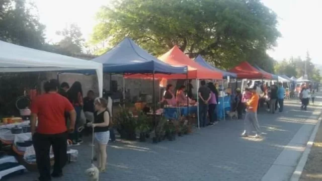 Este domingo habrá una nueva feria de emprendedores en San Luis (y vos podés participar)