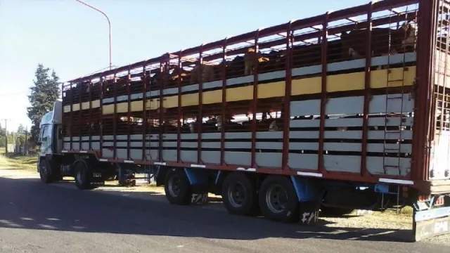 Menos trámites: ahora los productores ganaderos podrán emitir el Documento Único de Traslado (DUT)