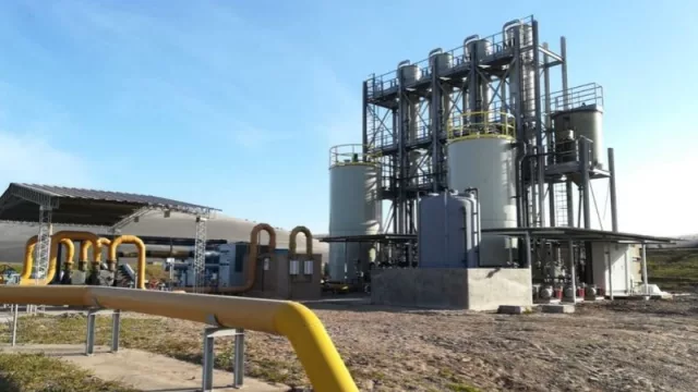 Citrusvil se convirtió en la primera citrícola del mundo en generar energía renovable