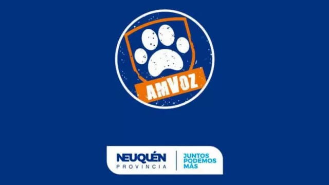 La aplicación de desarrollo local AmVoz fue premiada a nivel nacional 