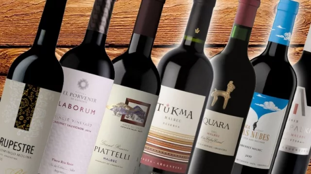 Balance positivo del programa oficial para posicionar los vinos de altura salteños