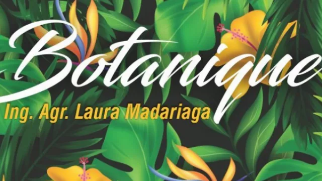 ¡Sin excusas! Botanique llega a Salta con Huertas urbanas y Jardines verticales