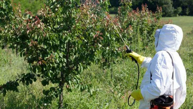 Atención productores: capacitarán a operarios en el uso seguro de fitosanitarios