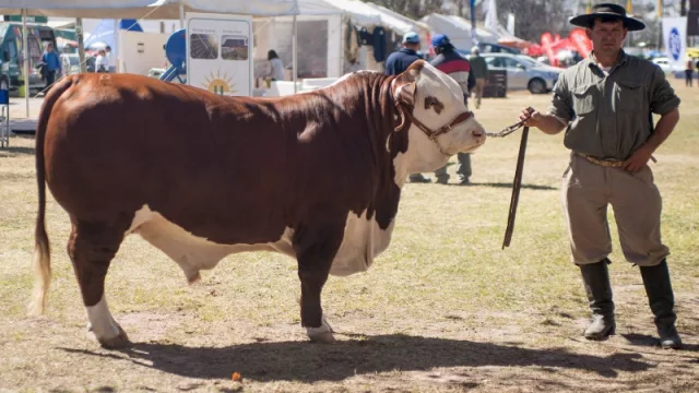Con un programa extenso y diverso, el campo muestra todo su potencial en la ciudad