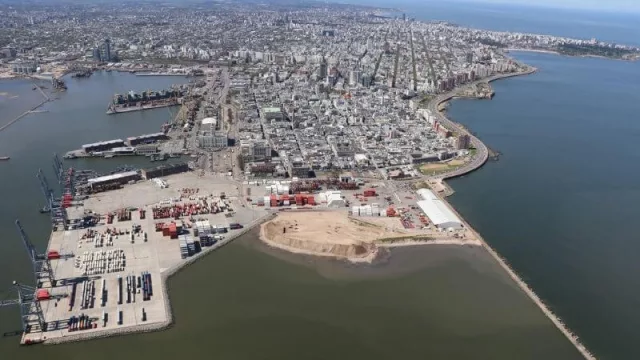 Gracias a la soja, las exportaciones uruguayas crecieron un 20% en julio