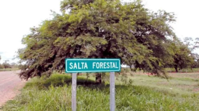 Una buena noticia: la empresa estatal Salta Forestal invertirá sus ganancias en obras y escuelas